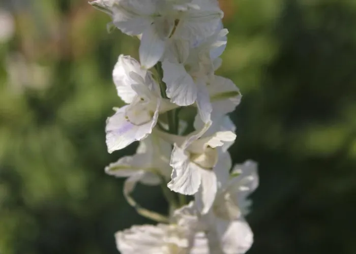 Appartement By The Sea Loviste, Peljesac - 10182 Lovište