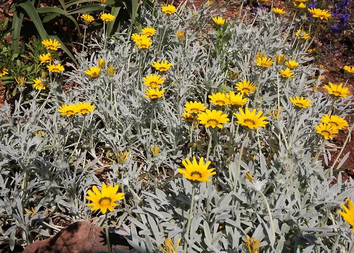 Appartement By The Sea Loviste, Peljesac - 10182 *