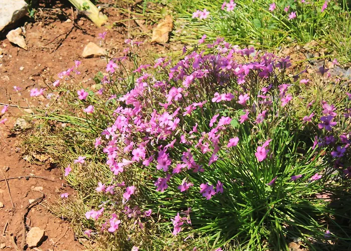 Appartement By The Sea Loviste, Peljesac - 10182