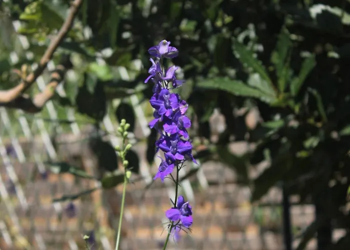 By The Sea Loviste, Peljesac - 10182 * Lovište
