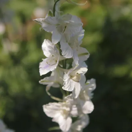 아파트 By The Sea Loviste, Peljesac - 10182 로비스테