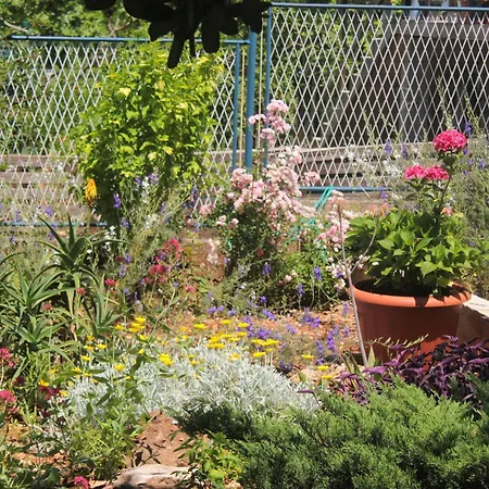 아파트 By The Sea Loviste, Peljesac - 10182 로비스테