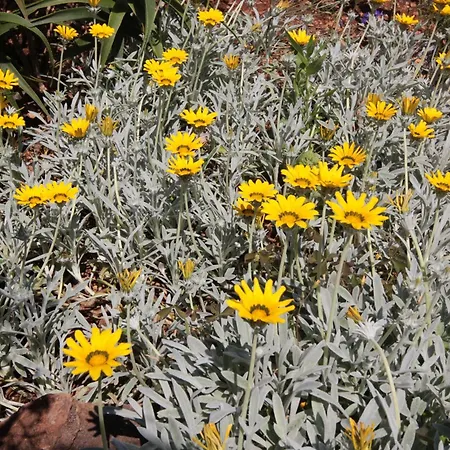 아파트 By The Sea Loviste, Peljesac - 10182 *