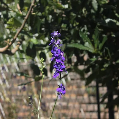 By The Sea Loviste, Peljesac - 10182 * Lovište